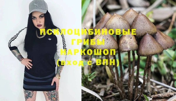 гидра Верхнеуральск