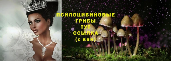 не бодяженный Верхний Тагил