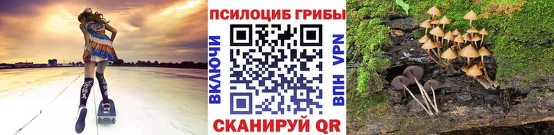 omg ссылка как найти закладки Дербент Псилоцибиновые грибы мухоморы